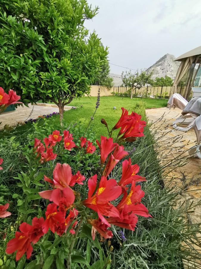 Villa Mater - Luxuriously Equipped Villa With A 15M Long Swimming Pool Žrnovnica Εξωτερικό φωτογραφία